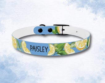 Personalized Lemon Dog Collar, summer dog collar, fruit dog collar, cute dog collar, custom citrus dog collar, dog collar, spring dog collar