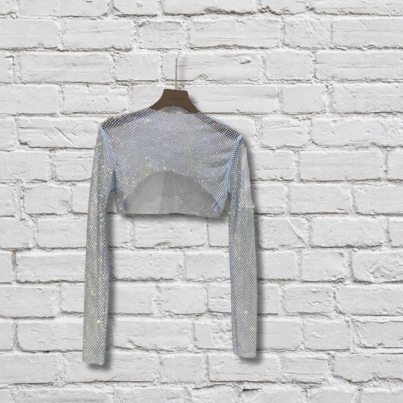 May include: A long-sleeve cropped top made of a silver-toned metallic mesh material. The garment features a wide, open neckline and a semi-sheer, grid-like construction that creates a shimmering effect. It is displayed on a brown plastic hanger.