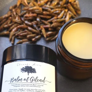 Balm of Gilead