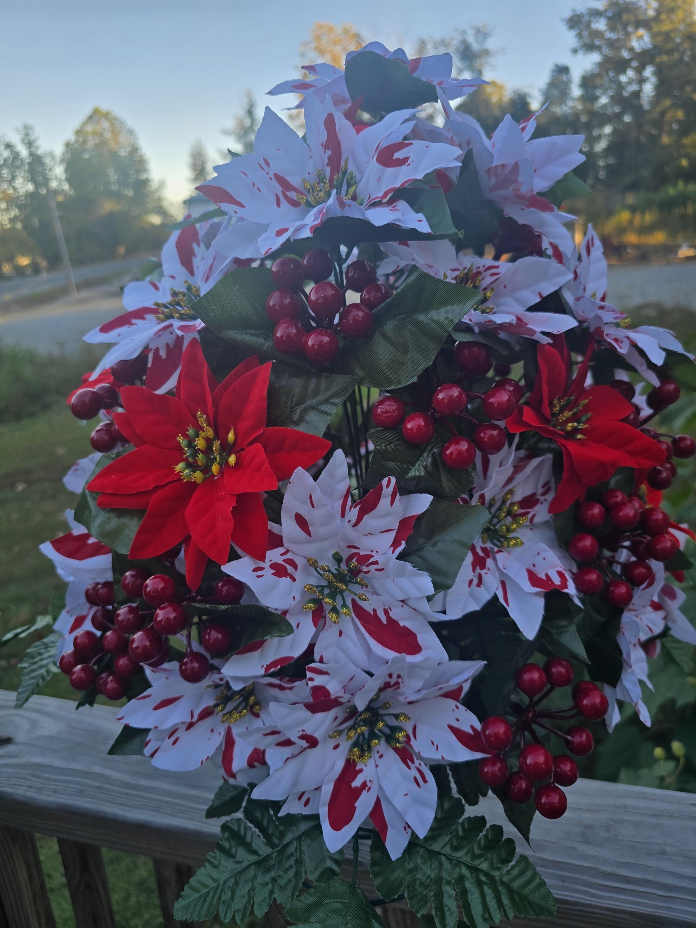 Peppermint Pointsettia vase style cemetery flower - Thumbnail 3