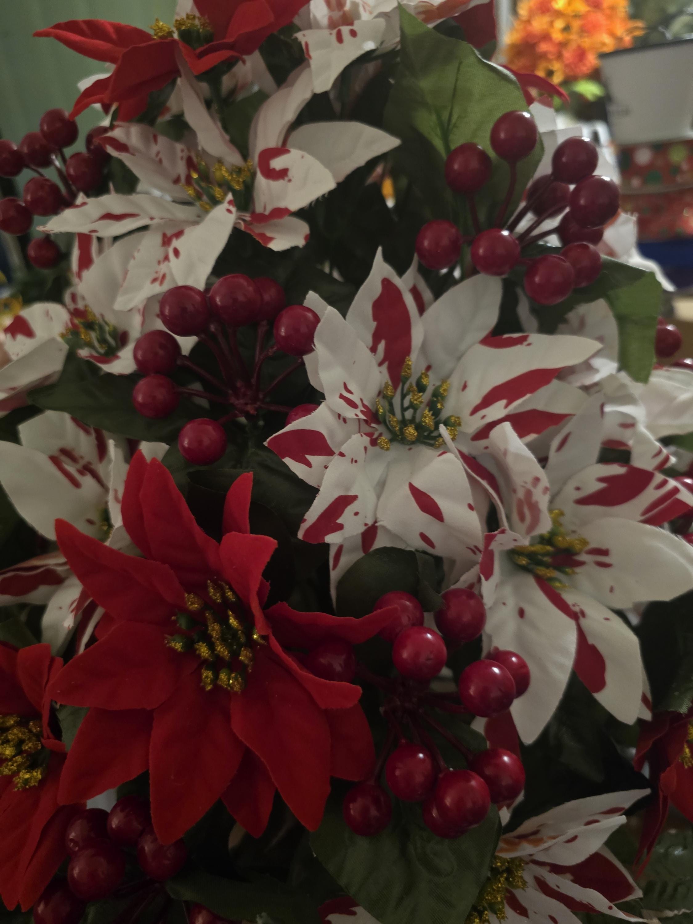 Peppermint Pointsettia vase style cemetery flower - Thumbnail 4