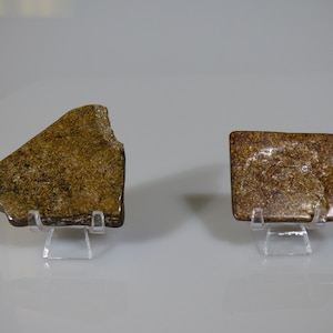 May include: Two pieces of fossilized wood on display stands. The piece on the left is a triangular shape with a brown and gold color. The piece on the right is a rectangular shape with a brown and gold color.