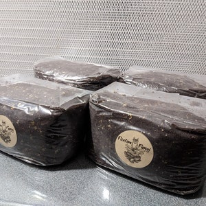 Kokos Pilz-Substrat 4er Pack - 1,8 kg - Mit Vermiculite - Fertig zum Beimpfen