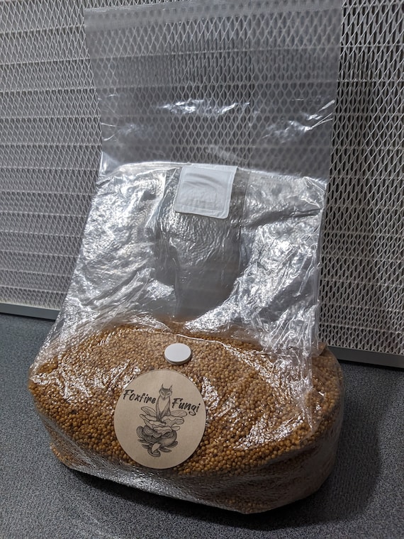 Sacchetto sterile per cereali libbre Con porta di iniezione