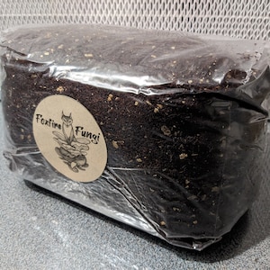 Kokos Pilz-Substrat - 1,8 kg - Mit Vermiculite - Fertig zum Impfen