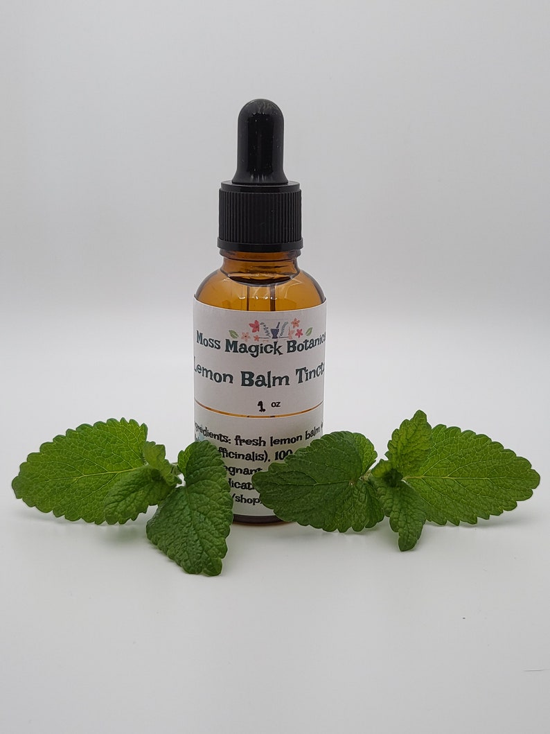 Pu&ograve; includere: Una bottiglia di vetro marrone con un contagocce, etichettata "Moss Magick Botanics Lemon Balm Tincture 1 oz". La bottiglia &egrave; appoggiata su una superficie bianca con foglie verdi di melissa.