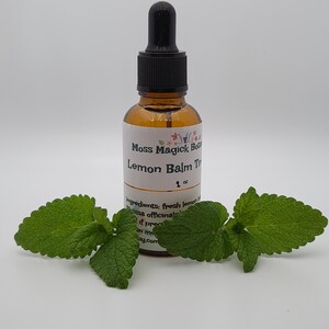 Pu&ograve; includere: Una piccola bottiglia di vetro ambrato con un contagocce nero. La bottiglia &egrave; etichettata "Moss Magick Botanics Lemon Balm Tincture 1 oz". L'etichetta include anche un elenco di ingredienti: "fresh lemon balm and melissa officinalis". Ci sono due foglie verdi di melissa in primo piano.