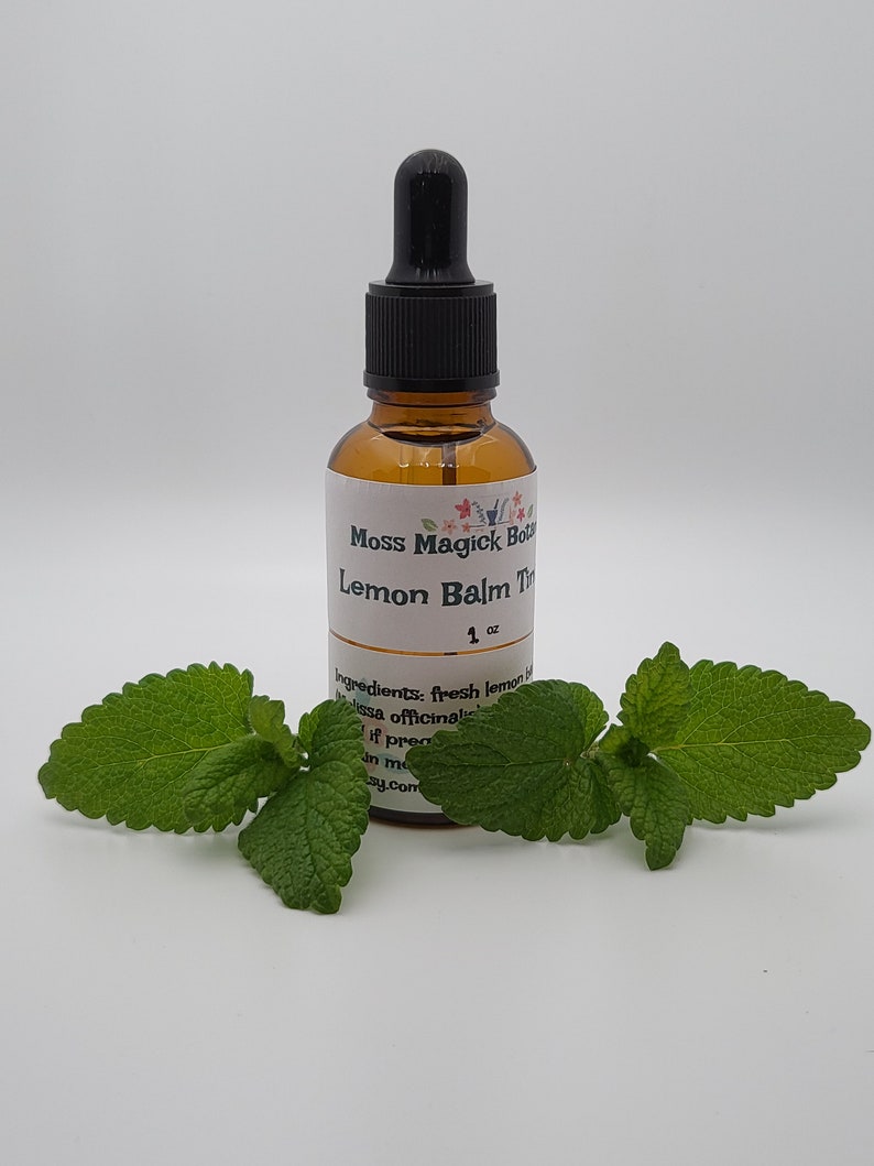 Pu&ograve; includere: Una piccola bottiglia di vetro ambrato con un contagocce nero. La bottiglia &egrave; etichettata "Moss Magick Botanics Lemon Balm Tincture 1 oz". L'etichetta include anche un elenco di ingredienti: "fresh lemon balm and melissa officinalis". Ci sono due foglie verdi di melissa in primo piano.