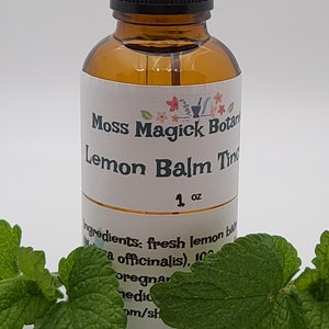 Pu&ograve; includere: Una bottiglia di vetro marrone con un contagocce nero e un'etichetta bianca che recita "Moss Magick Botan Lemon Balm Tincture 1 oz Ingredients: fresh lemon balm (Melissa officinalis), 100% organic, vegan, cruelty-free, made with love, om/shop". La bottiglia &egrave; appoggiata su una superficie bianca con foglie verdi.