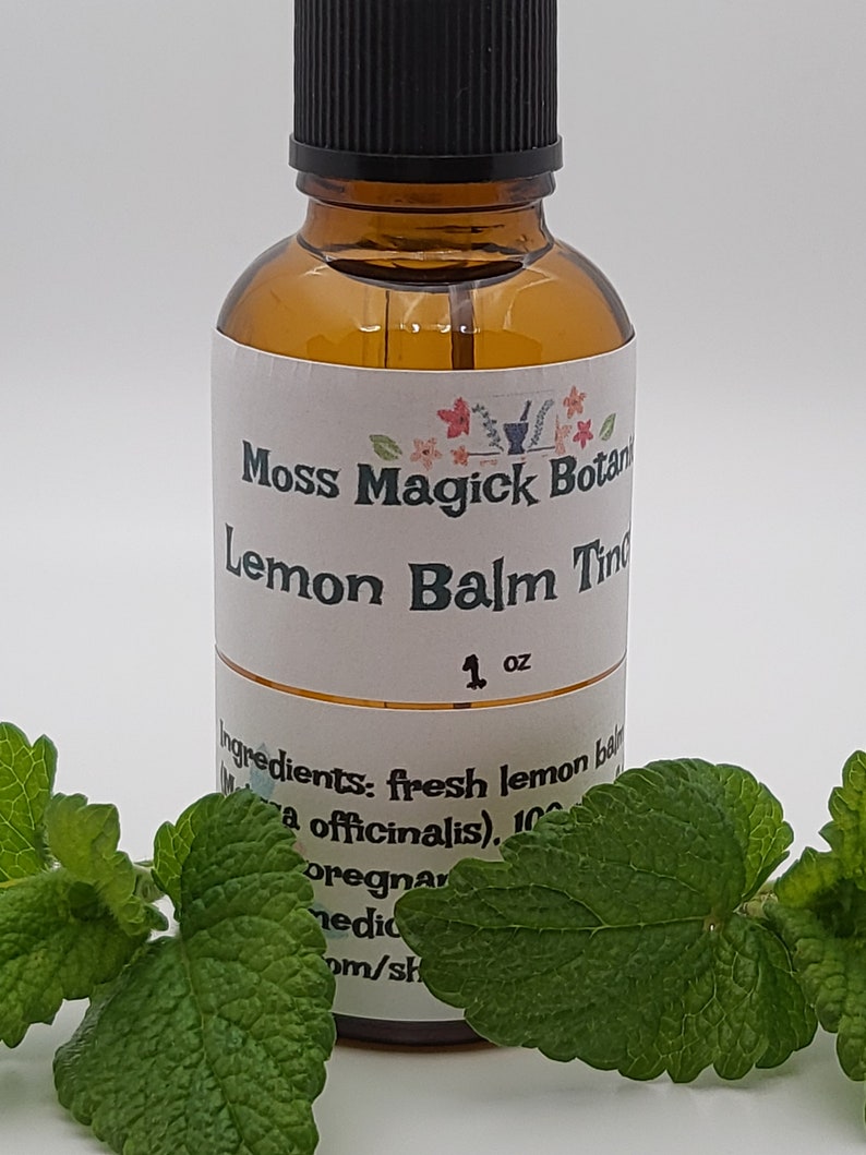 Pu&ograve; includere: Una bottiglia di vetro marrone con un contagocce nero e un'etichetta bianca che recita "Moss Magick Botan Lemon Balm Tincture 1 oz Ingredients: fresh lemon balm (Melissa officinalis), 100% organic, vegan, cruelty-free, made with love, om/shop". La bottiglia &egrave; appoggiata su una superficie bianca con foglie verdi.