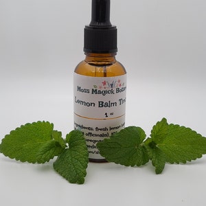 Pu&ograve; includere: Una bottiglia di vetro marrone con un contagocce nero, etichettata "Moss Magick Botan Lemon Balm Tincture 1 oz". La bottiglia &egrave; appoggiata su una superficie bianca con foglie verdi di melissa.
