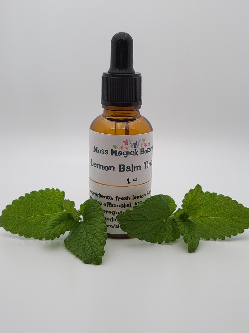 Pu&ograve; includere: Una bottiglia di vetro marrone con un contagocce nero, etichettata "Moss Magick Botan Lemon Balm Tincture 1 oz". La bottiglia &egrave; appoggiata su una superficie bianca con foglie verdi di melissa.