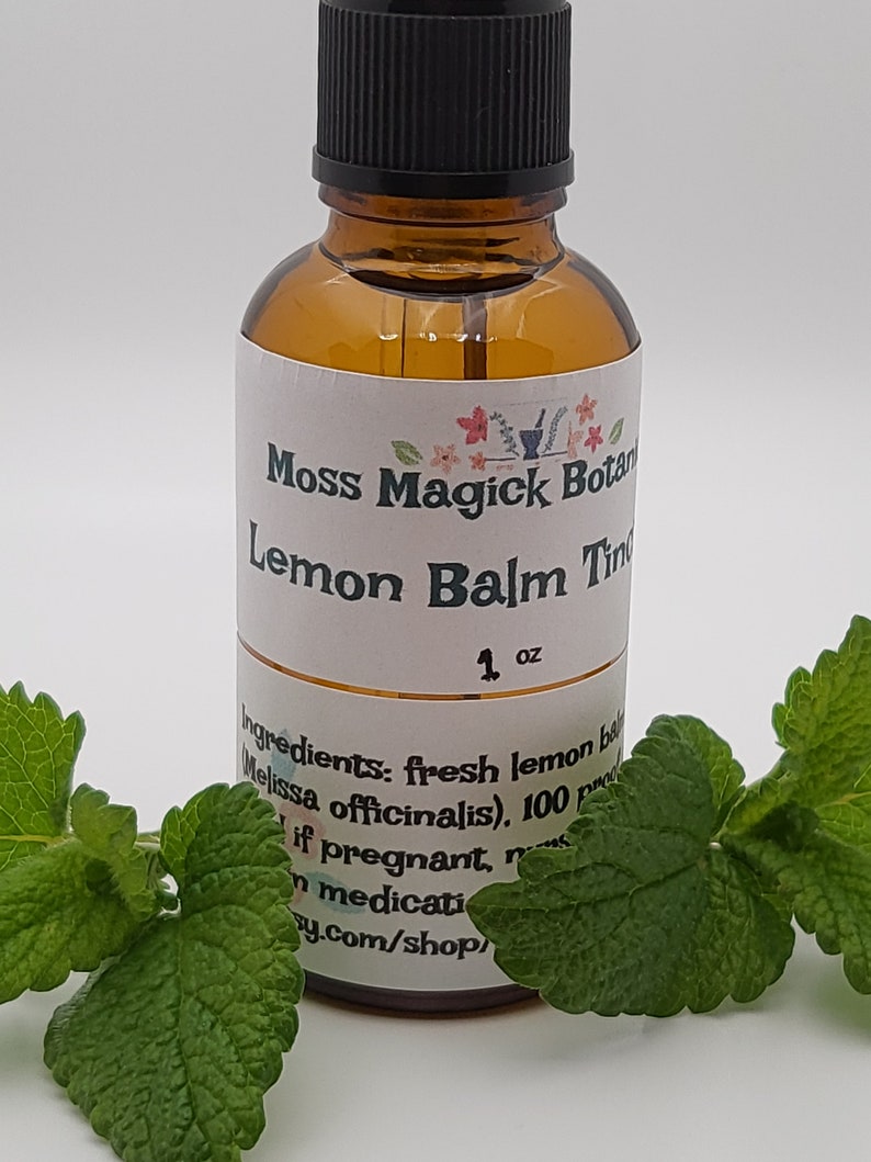 Pu&ograve; includere: Una bottiglia di vetro marrone con un contagocce nero e un'etichetta bianca che recita "Moss Magick Botan Lemon Balm Tincture 1 oz Ingredients: fresh lemon balm (Melissa officinalis), 100 proof alcohol. If pregnant, nursing, or on medication, consult your doctor before use. mossmagickbotan.etsy.com/shop/"