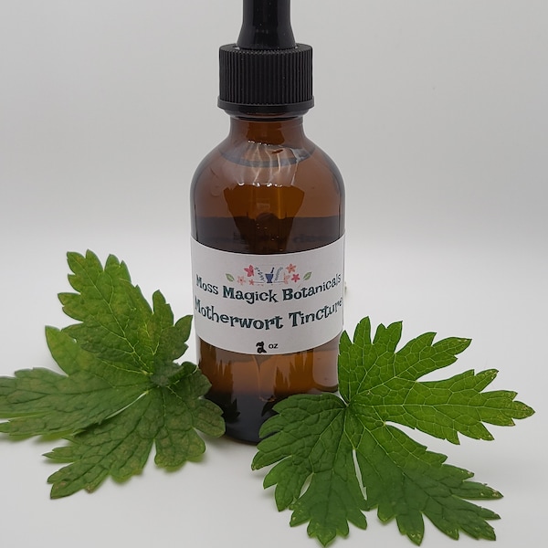 Motherwort tincture, Leonurus cardiaca, two ounce bottle, locally grown, small batch made, wellness herbs, herbal support