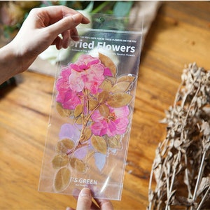 Stickers Série Fleuriste Plantes rétro littéraires fraîches