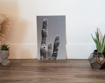 Desert Cactus - B&W Photo print
