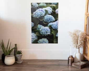 Hydrangeas - Photo print