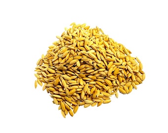 Arroz con cáscara/Arroz con cáscara/Dhan para puja, arroz para pooja (50 g)