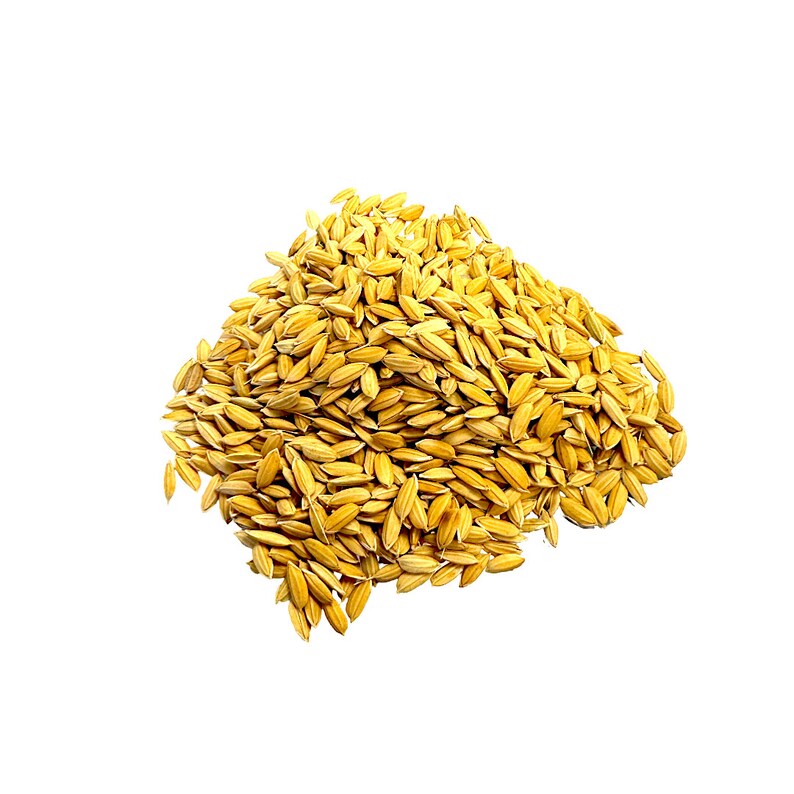 May include: A pile of golden-yellow rice grains against a white background. The grains are elongated and have a slightly rough texture, suggesting they are unprocessed or in their husk. The image is well-lit, highlighting the natural color and form of the rice.