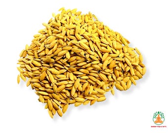 Rice with Husk | Paddy Rice | Dhan for Puja | Puja Rice (50 gm)