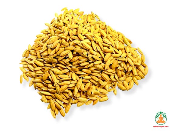 Rice with Husk | Paddy Rice | Dhan for Puja | Puja Rice (50 gm)