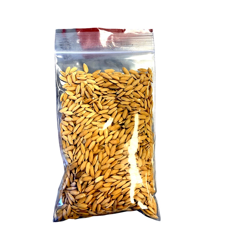 May include: A clear plastic bag filled with golden-brown rice grains. The bag is sealed at the top and sits against a white background. The rice grains are elongated and fill the majority of the bag.