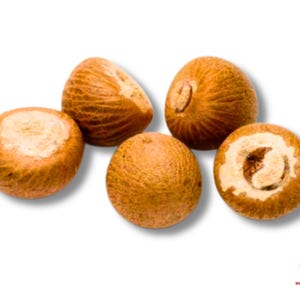 May include: Five brown betel nuts, some with a textured outer shell and others cut open to reveal a lighter interior. The nuts are arranged on a white background, showcasing their natural color and texture.