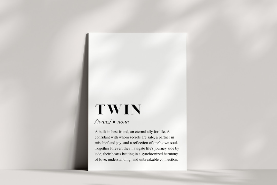 TWIN DEFINITION MEANING visual data 7