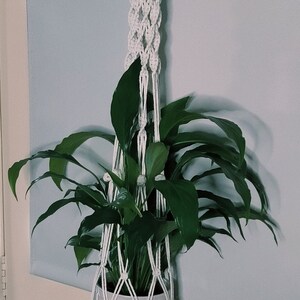 May include: A white macrame plant hanger with a green peace lily plant inside. The hanger is hanging from a white wall.