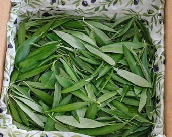 Fresh Organic Olive Leaves Box Party Wedding Decor