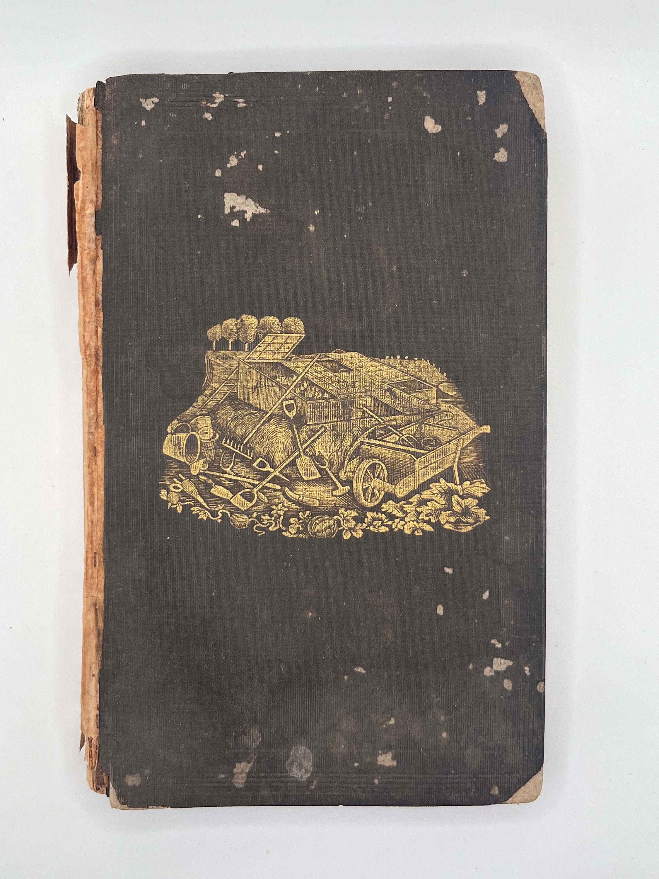 1847 Buist’s Family Kitchen Gardener Hardcover Book By Robert Buist Gold Engraved Cover Illustrated antique garden book