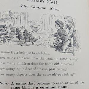 May include: Black and white illustration of a lesson about common nouns. The image shows children and chickens in a farmyard setting. The text reads: "Lesson XVII. The Common Noun. name hen belongs to each hen. now many chickens does the name chicken belong? now many children does the name child belong? Low many pails does the name pail belong? ow many objects does the name object belong? tion: A name that belongs to each of all of the same kind is a common noun."