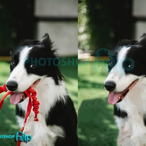 Rimozione di oggetti indesiderati da foto, rimozione di oggetti, pulizia dello sfondo, fotoritocco con Photoshop