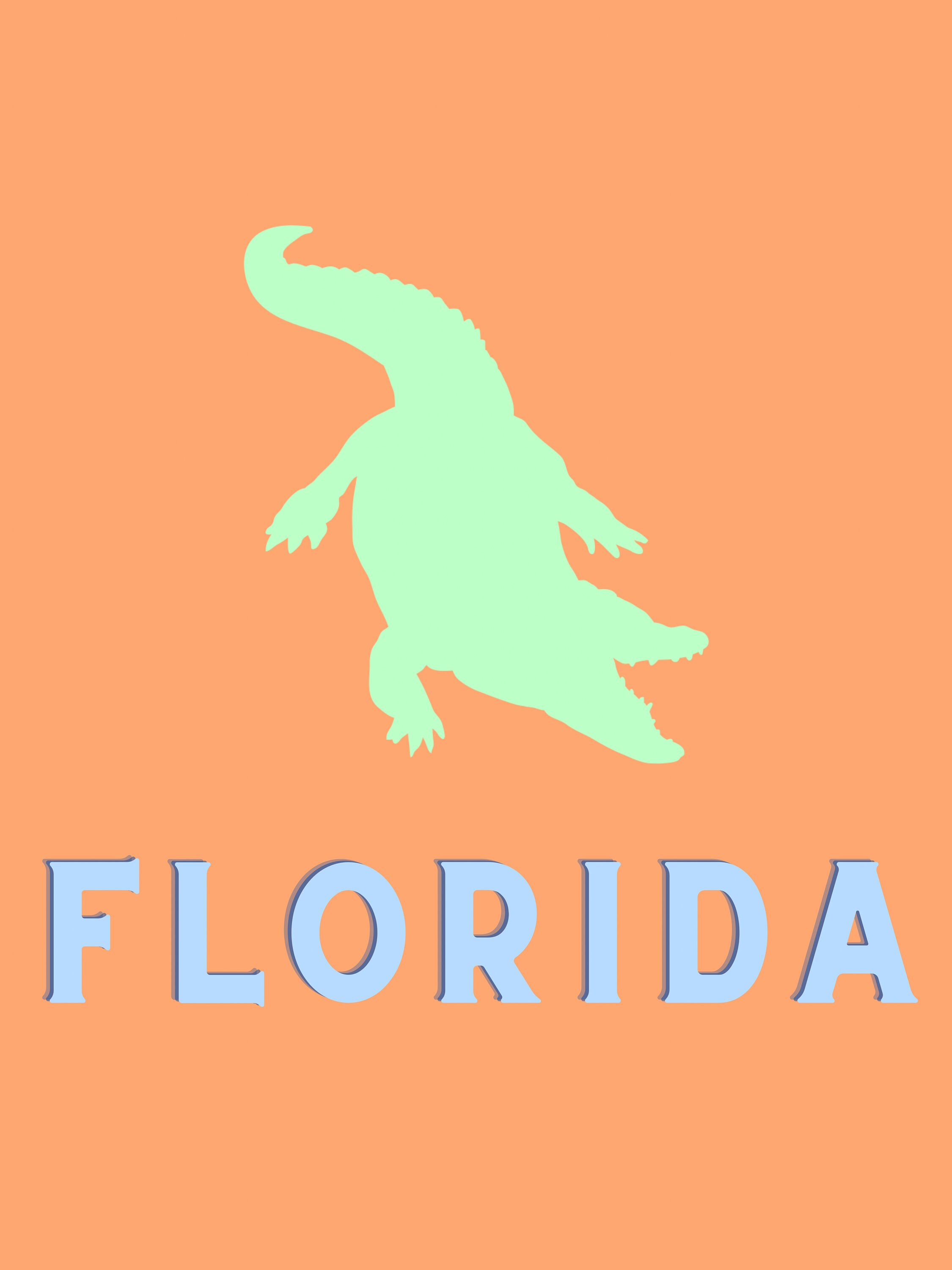 Florida Gators Wall Decor Etsy