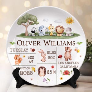 Personalized Birth Announcement Keepsake Plastic Plate, Custom Baby Birth Stats Plate, Newborn Gift, New Parents Gift, Baby Shower Gift