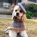 see more listings in the Boy Dog Couture section