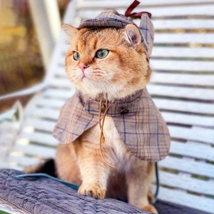 Cat dresses for adults sales