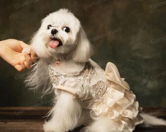 Anpassbares Hochzeits-Haustierkleid, glitzerndes Champagner-Tüllkleid für große Hunde und Katzen, Geburtstagsfeier-Hundekleid, Sommer-Haustier-Kleidung