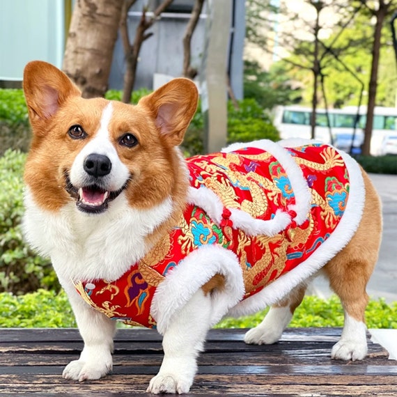 Corgi christmas hotsell suit jacket