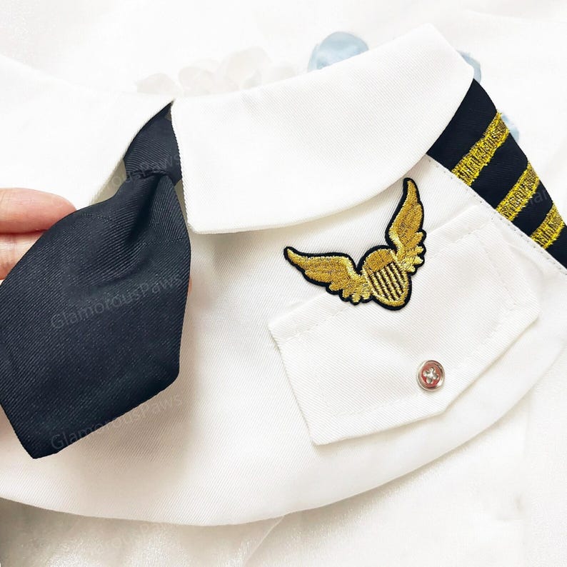 May include: White pet pilot uniform with a black tie, gold embroidered wings, and a pocket with a silver button. The collar has black and gold stripes. The text "GlamordusPaws" is visible.