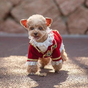 Dog Wedding Tuxedo Bestman Dog Costume, Halloween Prince Costume for Cats Dogs, Red Velveteen Jacket & White Cotton Shirt Pet Clothes Custom