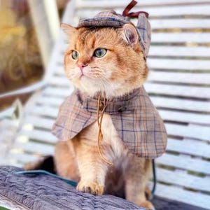 Katzen Detektiv Kostüm Halloween, Sherlock Holmes Umhang & Deerstalker Hut für Katzen & Hunde, Haustier Detektiv Outfit Lustiges Kostüm Party Anzieh