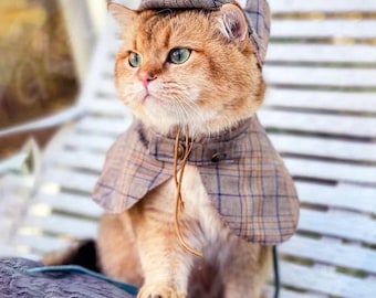 May include: A ginger cat wearing a brown and beige plaid detective coat and a brown tweed hat. The cat is sitting on a white wooden bench.