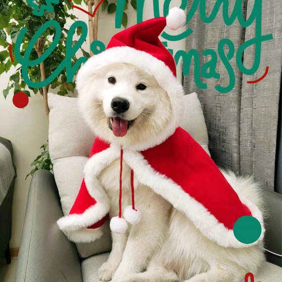 Christmas Pet Dog Santa Costume Christmas Pet Dog Santa Costume
