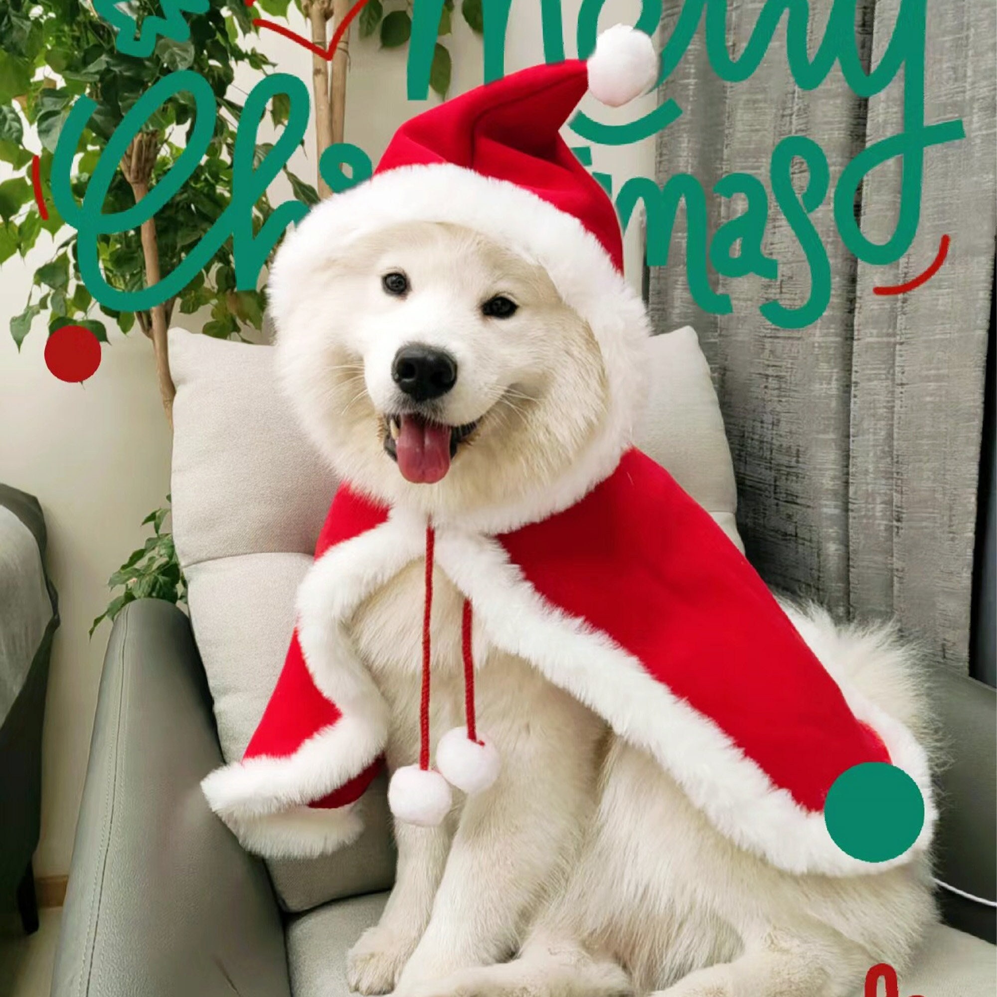 This Is My Christmas Pajama Samoyed Costume Santa Hat Gift T-Shirt This Is My Christmas Pajama Samoyed Costume Santa Hat Gift T-Shirt