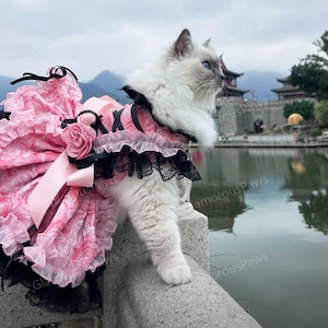 Customizable Wedding Pet Dress, Pink Rose Tulle Dress for Cats and Large Dogs, Birthday Dog Dress, Summer Pets Clothes Princess Costume