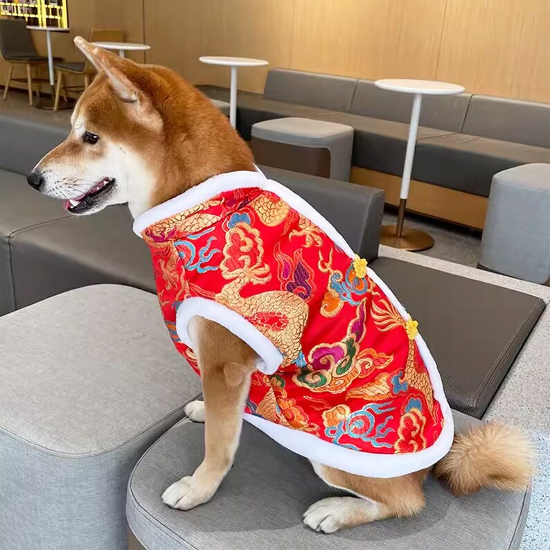 May include: A Shiba Inu dog wearing a red and gold Chinese New Year themed vest with a dragon and cloud pattern. The vest has a white fur trim and yellow button closures.
