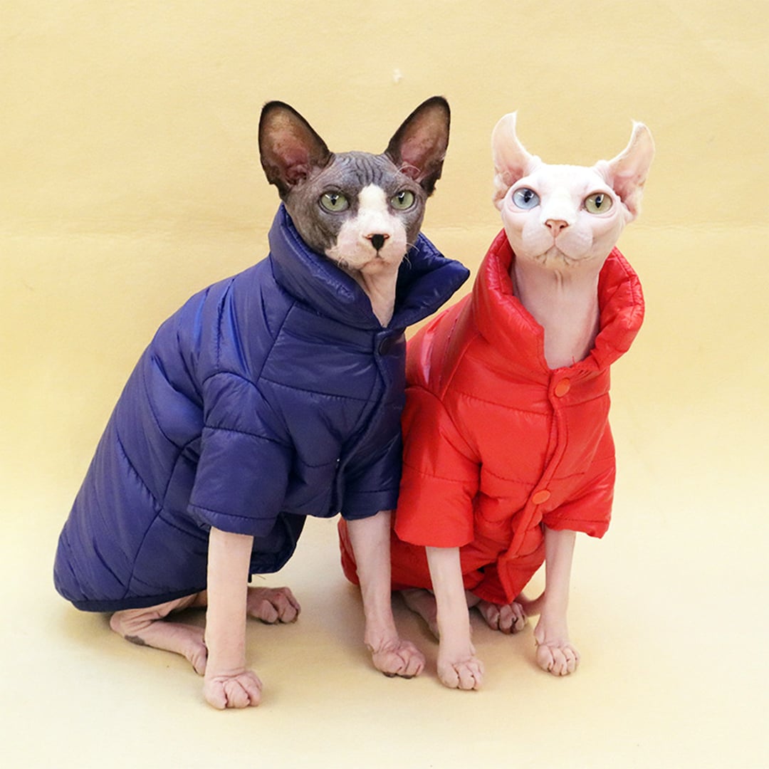 Sphynx Cat Winter Clothes Puffer Jacket 2 Colors Down Jacket Etsy