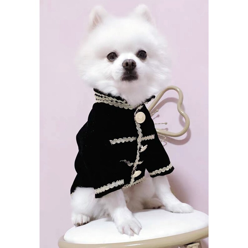 Dog Prince Charming Costume Halloween, Black Velveteen Jacket for Cats and Dogs, Puppy Dog Coat Fall Winter Pet Clothes Custom Size image 5