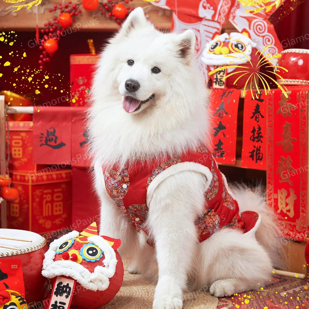 New Year Large Dog Clothes Chinese Spring Festival Pet Costume,red